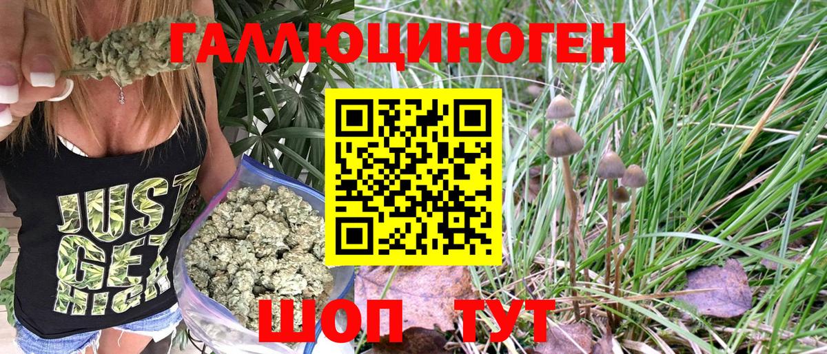 Грязи  Псилоцибиновые грибы Psilocybine cubensis  Вход с VPN 