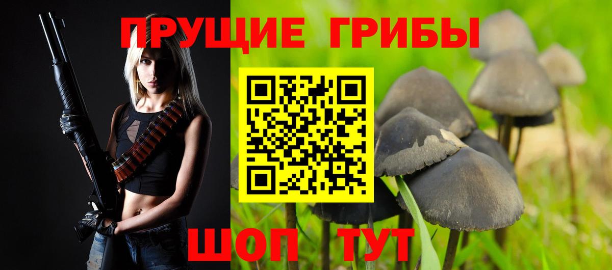 Псилоцибиновые грибы мицелий Грязи